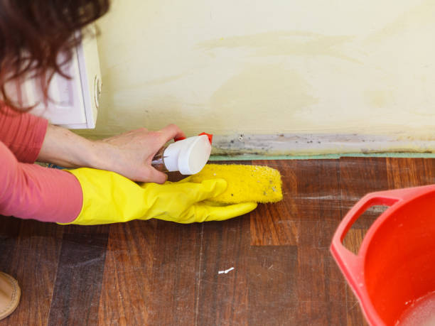 Best Mold Prevention Services  in Perry, KS